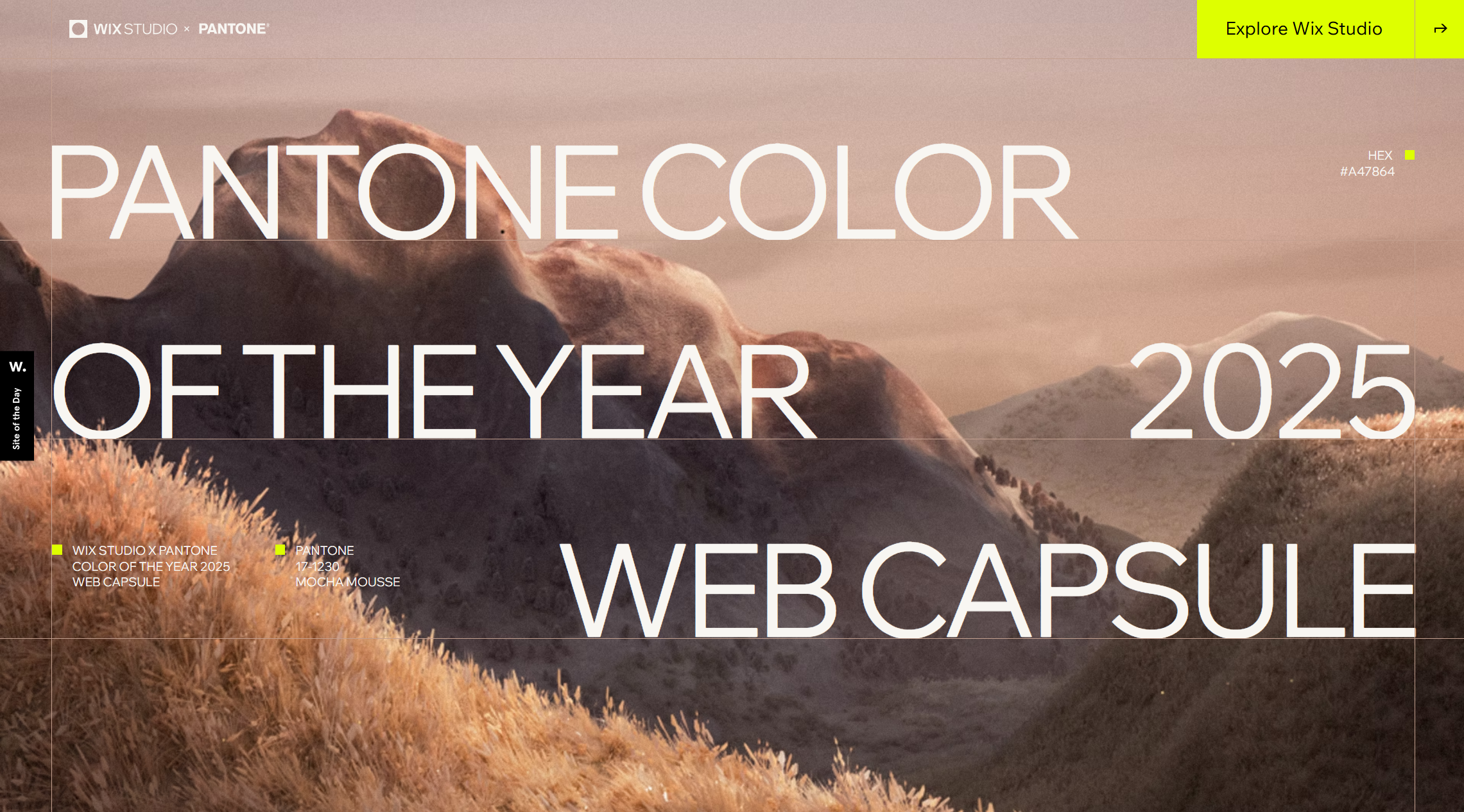PANTONE COLOR OF THE YEAR 2025 WEB CAPSULE